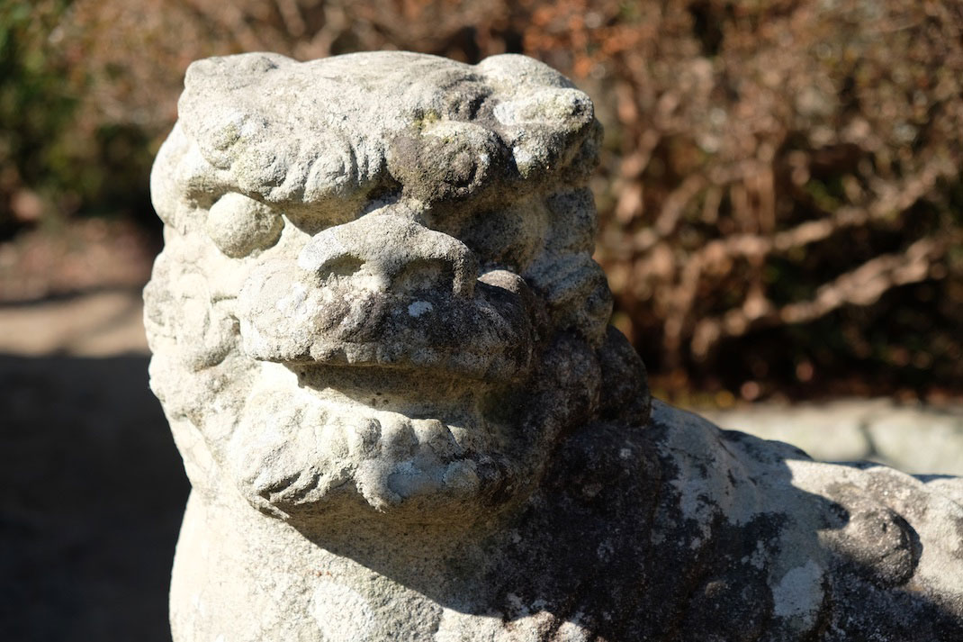 筑波山神社の狛犬