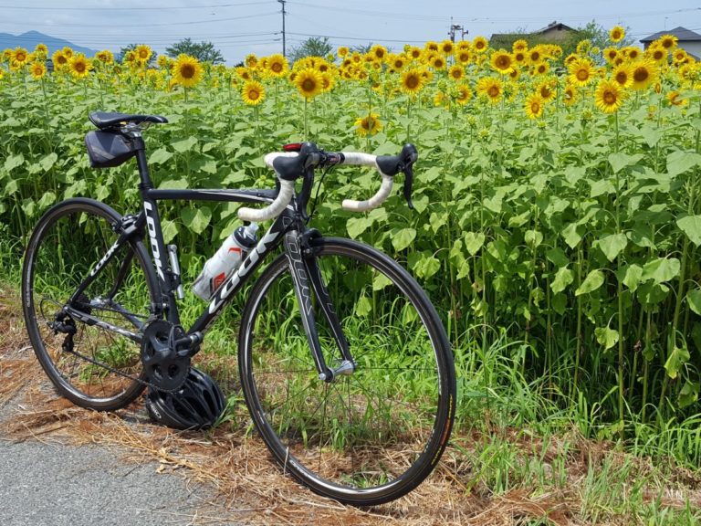 夏は自転車が増える