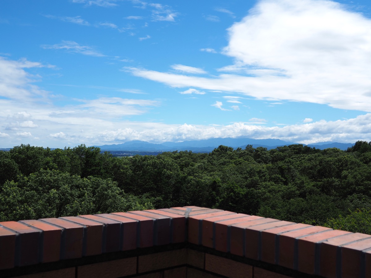 野山北・六道山公園　展望台からの眺め