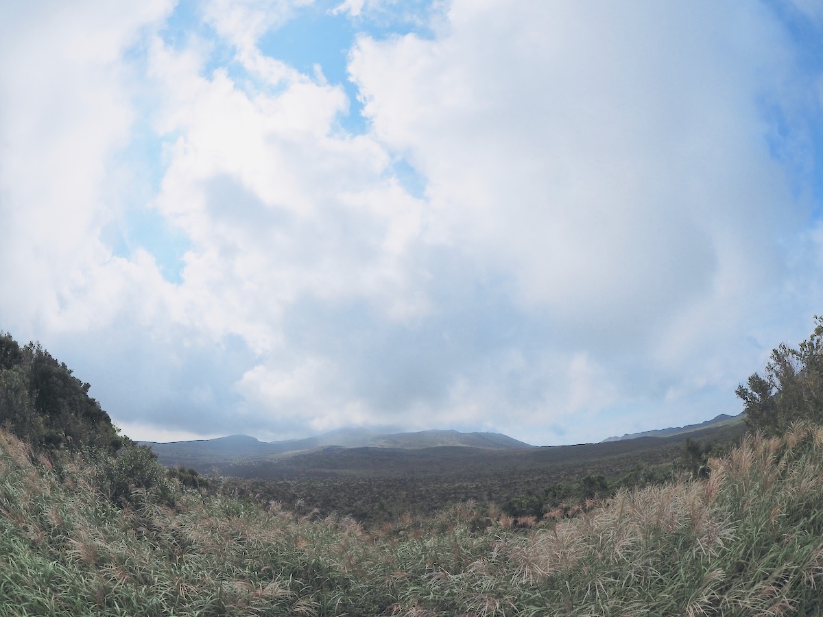 新火口展望台から望む三原山