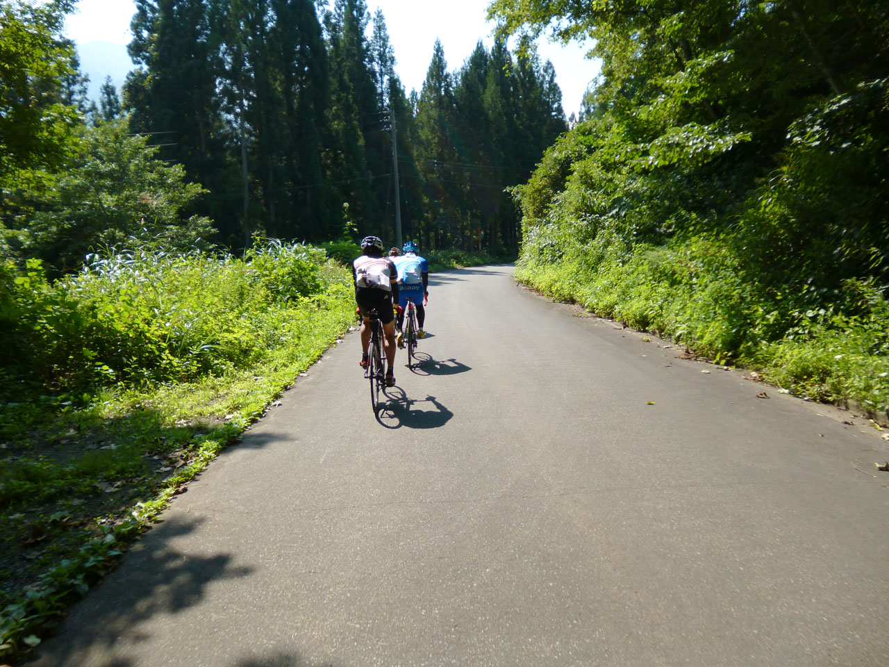 真夏の猛暑の日に、坂ばかりの道を走るサイクリングイベント