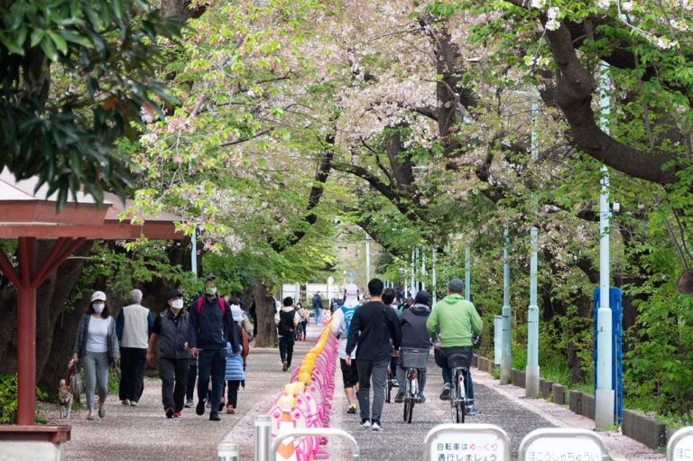 ロードバイク 自転車に向いている道