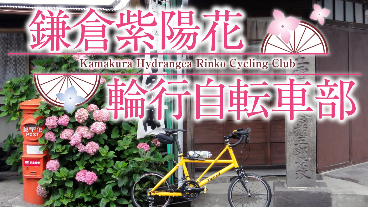 紫陽花シーズンの鎌倉で、サイクリングを楽しむ秘訣！…って、そんなのあるの？