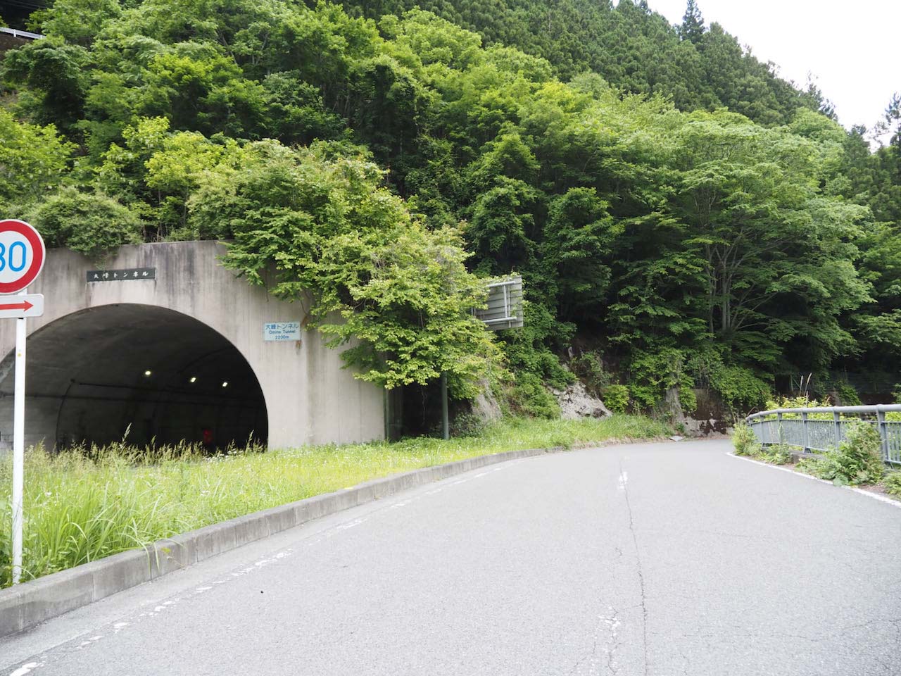 大峰トンネルのすぐ下の林道
